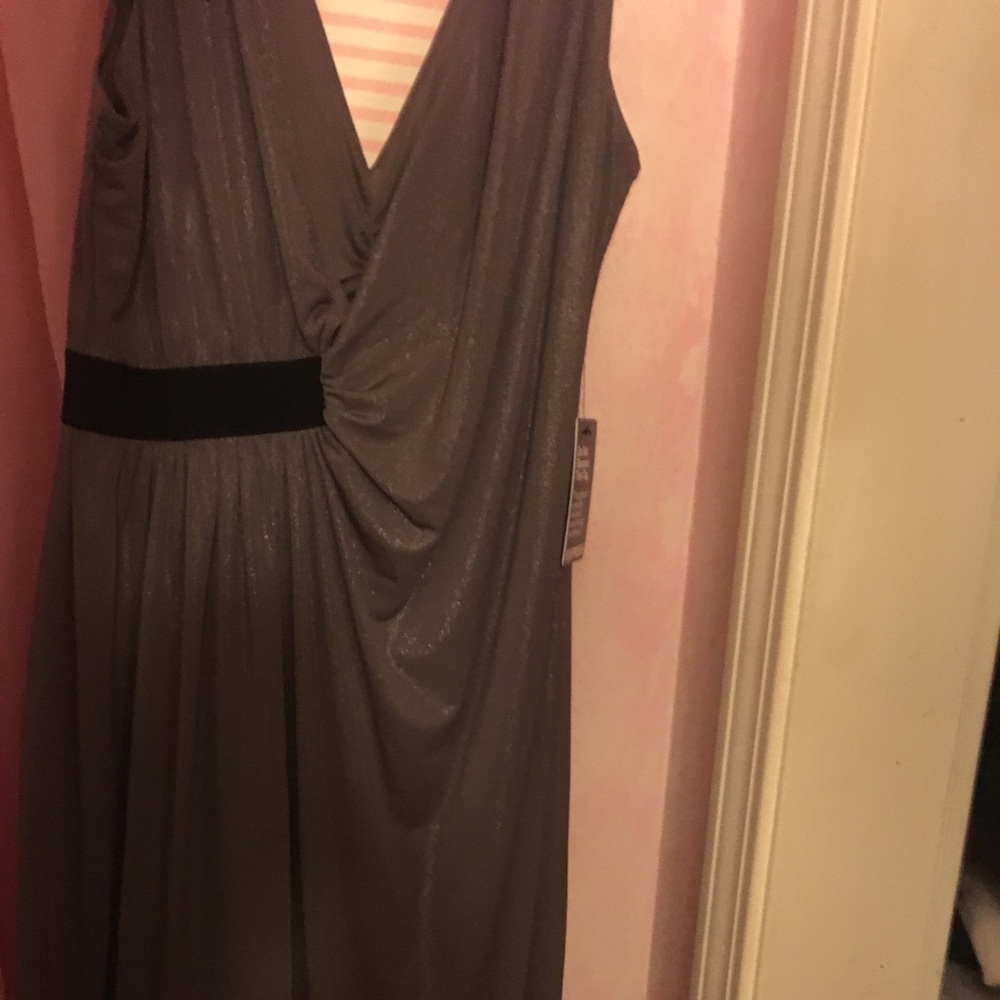 Express brand new dress